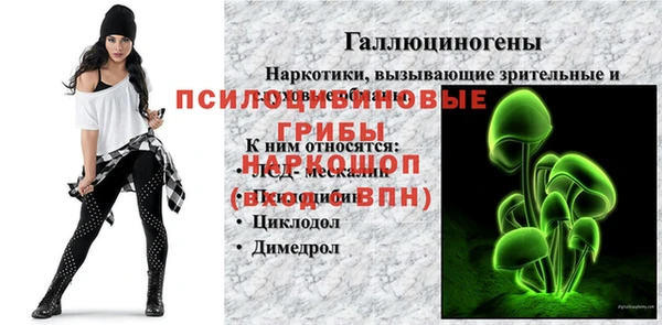 прущие грибы Абинск