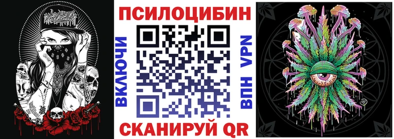 ссылка на мегу tor  сколько стоит  Камень-на-Оби  Псилоцибиновые грибы Psilocybine cubensis 